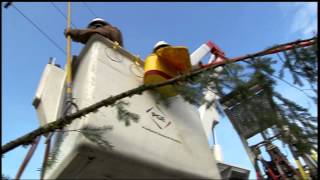 Tree-wire testing to reduce outages