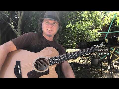 Taylor 552ce 12-Fret 12-String image 10