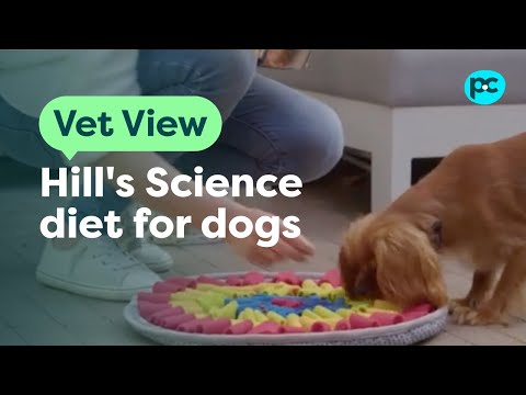 Hill's Science diet for #dogs | PET CIRCLE