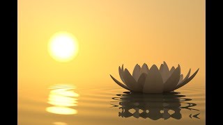 Pink Martini-La Soledad HD