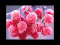 Алена Герасимова-Макаровна-,,Белый снег,,. 