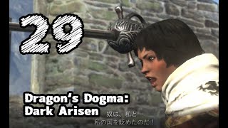 #29【Dragon's Dogma: Dark Arisen】普通に考えて行動する【左腕のボスぬこ】