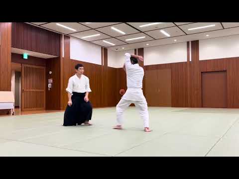 【正面打ち・上段突きへの呼吸投げ】