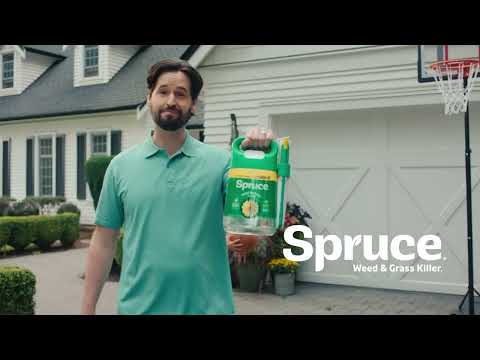 Spruce: Hardworking & Worry-Free Weed & Grass Killer