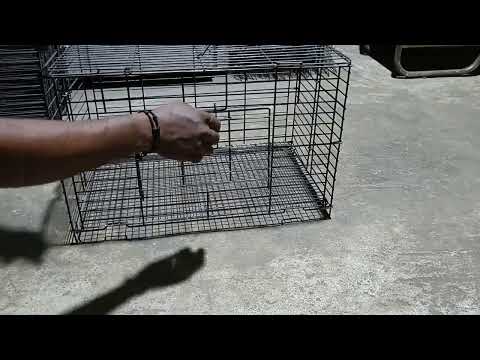 handfeeding cage
