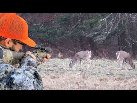 MULTIPLE DEER DOWN! Firearms Hunting Season