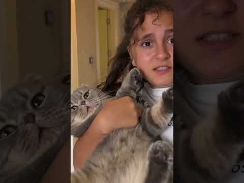 Aslı Yaren Gel tepeme koy #shortvideo #shortsvideos