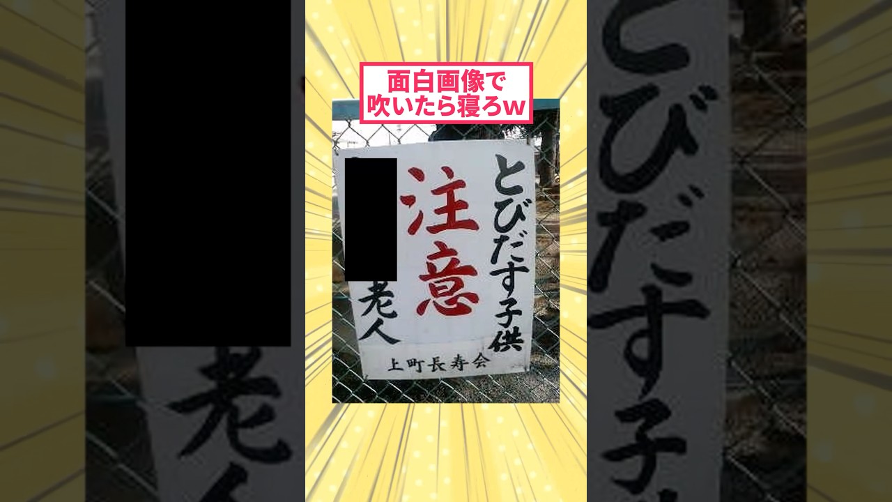 面白画像で吹いたら寝ろwww