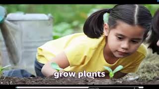 Power Up 2 - Unit 1 - Lesson 4: Look after our planet