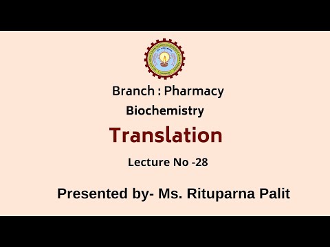 Translation