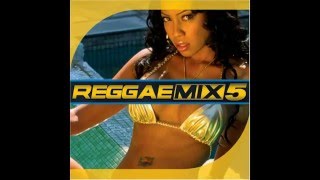 old school dancehall gold riddim mix  dj mayday