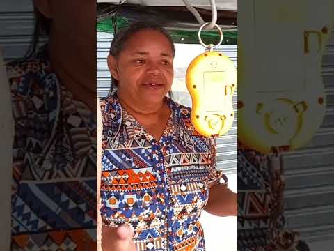 Feira Livre de Vila Quebec camutanga PE