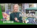 Irregular Verbs: Mögen | Super Easy German (103)