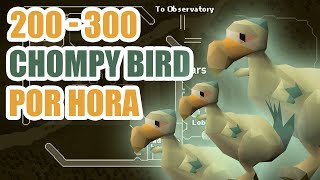 CHOMPY BIRDS - RÁPIDO Y FACIL - 200 - 300 X HORA
