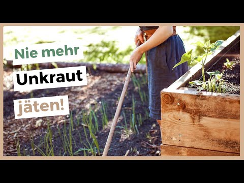 Weed-free vegetable garden - How to keep your garden weed-free!