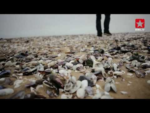 Desert Rebel - Road trip to Skeleton bay