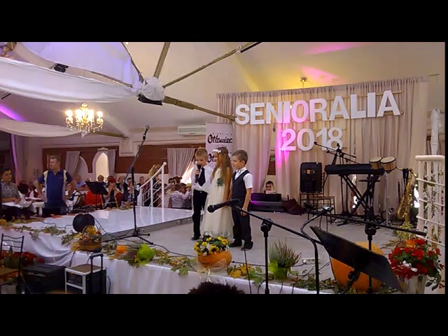 Dni Seniora 2018 Niepubliczne Przedszkole Nr 2 w Kwidzynie 3