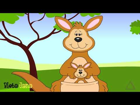 Shkronja K - Bleta Jana