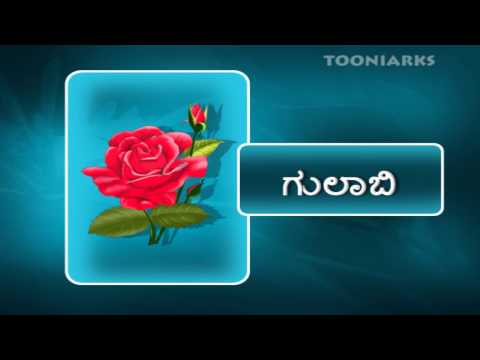 Puvugalu | Flower names in kannada | Learn kannada |  by tooniarks