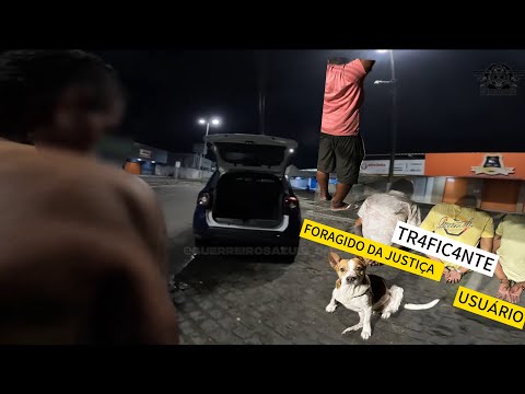 #GMP + 3 PRA CONTA DE XARÉU 🐶