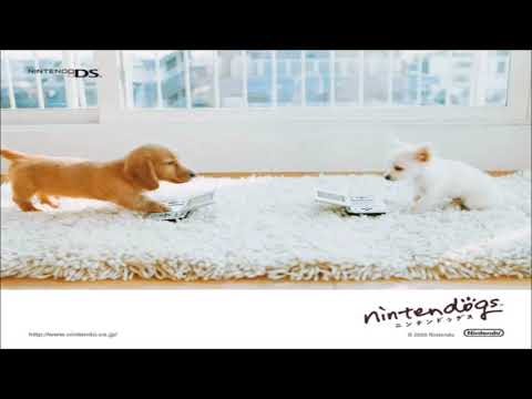 Drakim's VGM 935 - Nintendogs - Walking the Dog