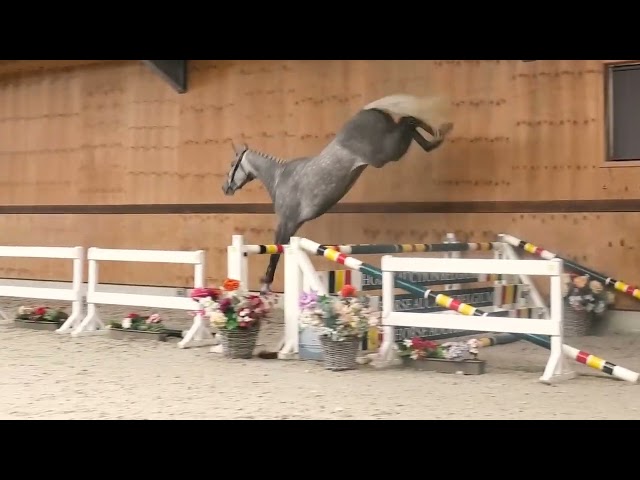 Jumping