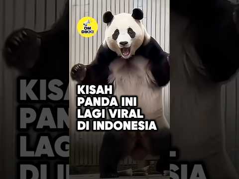 Setelah Lama Berpisah, Reaksi Fu Bao Bikin Haru ❤️ #shorts