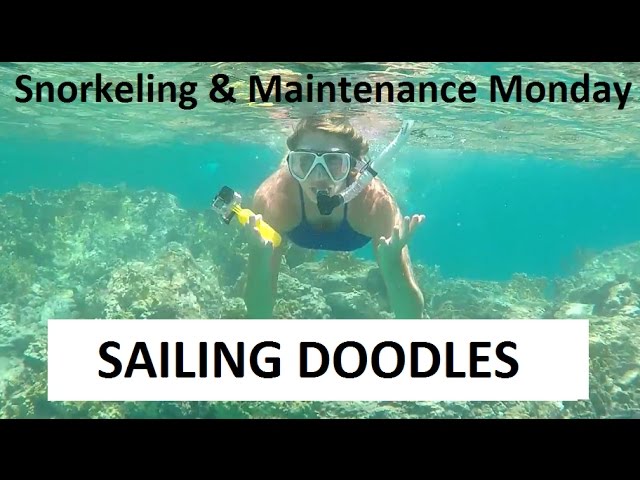 Snorkeling the Indians at BVI & a Shower Pump Problem - Boat Maintenance Monday