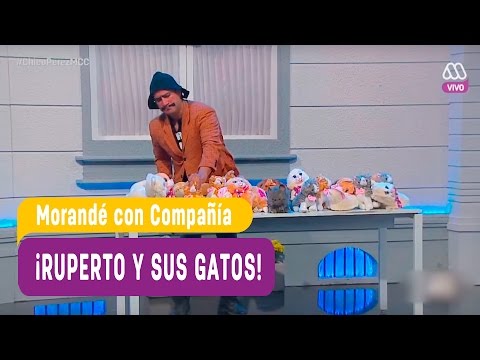 ¡Ruperto y sus gatos! - Morandé con Compañía 2017