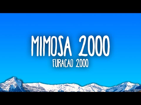 Furacão 2000 - Mimosa 2000