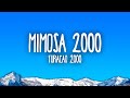 Furacão 2000 - Mimosa 2000