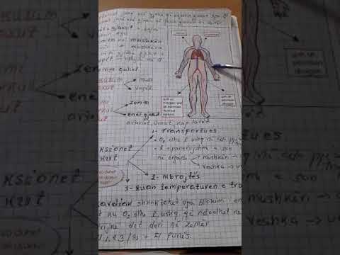 Zemra dhe enet e gjakut. Biologji kl6