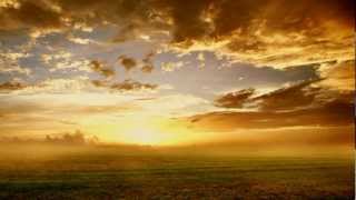 Relaxed all Day ~ Wellness Music ♫ Early Morning