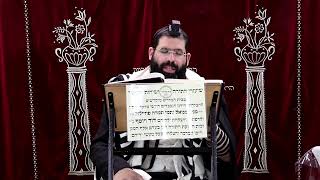 זבחים דף פ"ה ע"א ¤ הרב נתנאל אברז'ל ¤ בית הכנסת "בית מרדכי" (מוסדות תורת דוד) - התמונה מוצגת ישירות מתוך אתר האינטרנט יוטיוב. זכויות היוצרים בתמונה שייכות ליוצרה. קישור קרדיט למקור התוכן נמצא בתוך דף הסרטון