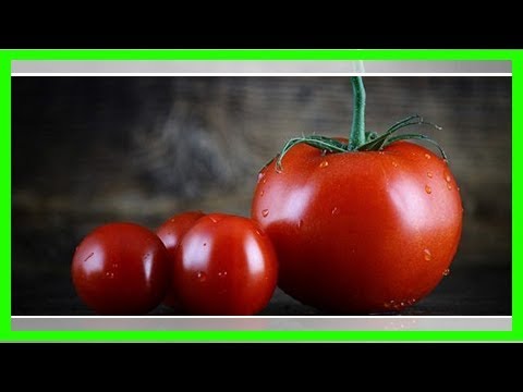 , title : 'Tomaten einfrieren: Wie es funktioniert und was du beachten musst'