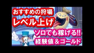 ドラクエ10 実況「レベル上げにおすすめの狩場！ソロでも稼げる穴場は？」