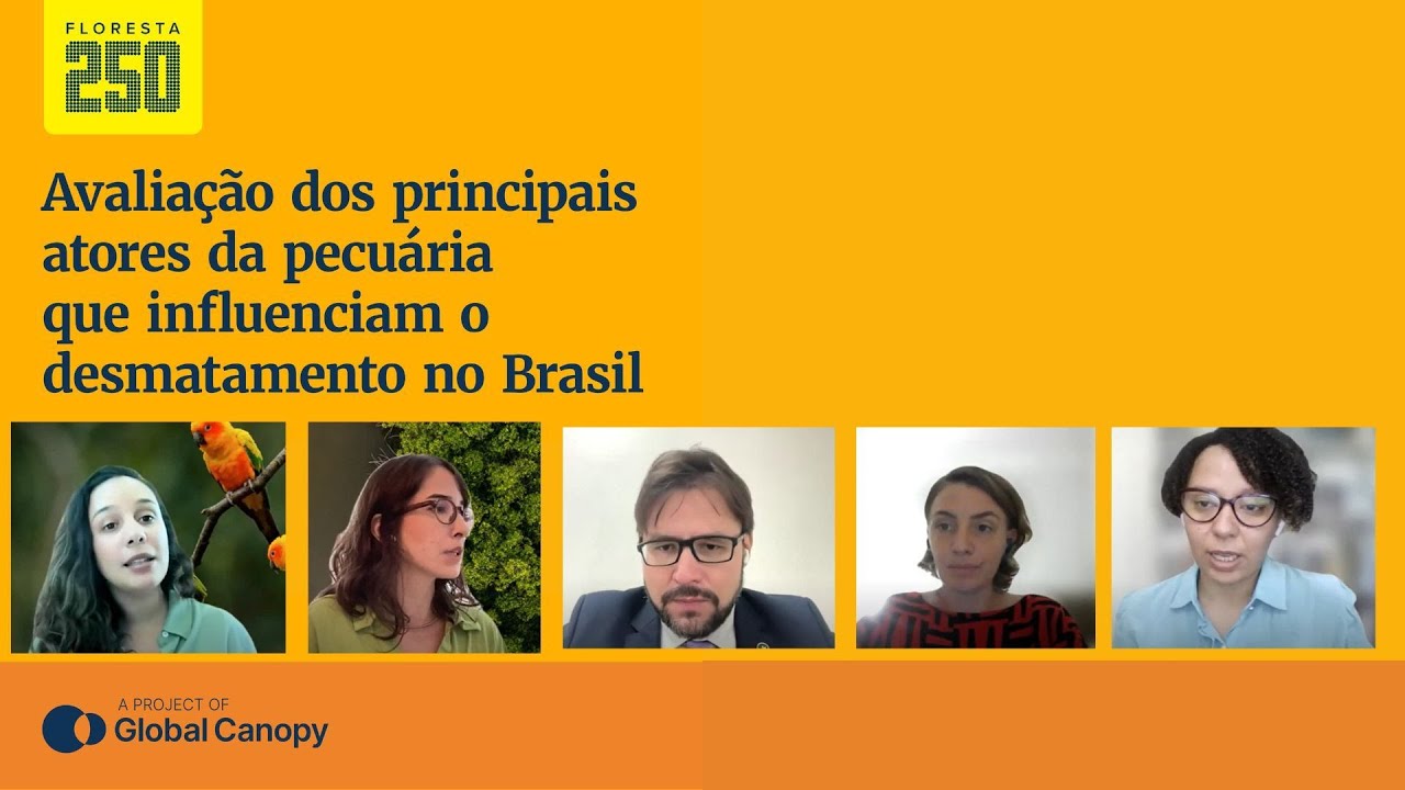 Floresta 250 – Pecuária: Avaliação dos principais atores que influenciam o desmatamento no Brasil