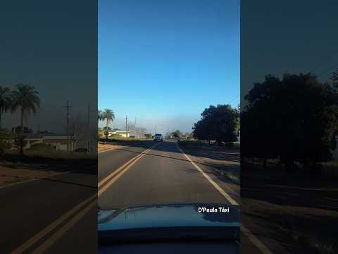 Geada no Paraná #geada #paraná #taxi #muitofrio #gelo #shorts #umuarama #mariluz #tempo
