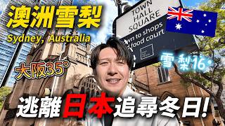 🇦🇺 日本熱到崩潰太扯了！我直接飛去南半球爽過冬！｜澳洲旅遊 雪梨