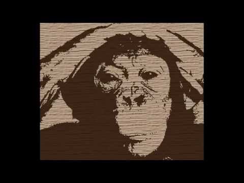 Involução - Xadrez Chinês