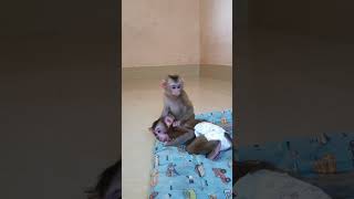 Oh, God! BaBoo what are you doing to your little!!!!
