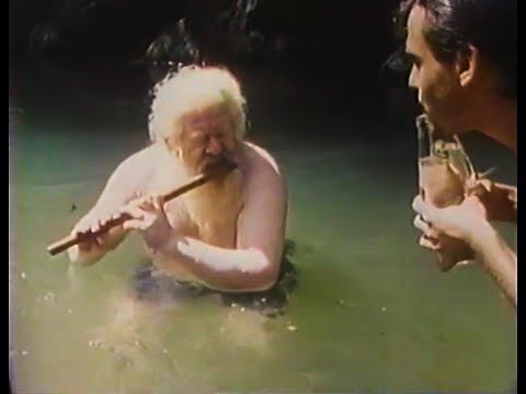Hermeto Pascoal - Música da Lagoa (Sinfonia do Alto Ribeira, 1985)