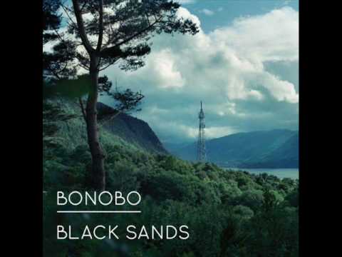 Bonobo - Kong