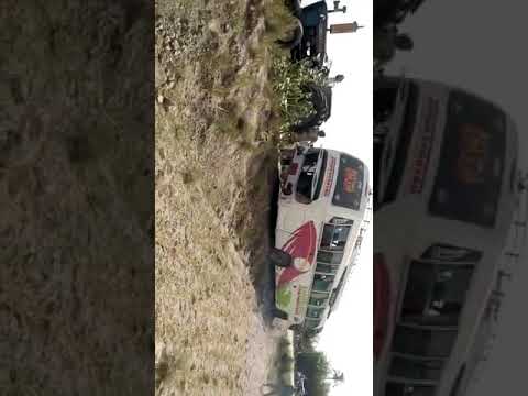 moul e dino larik ....