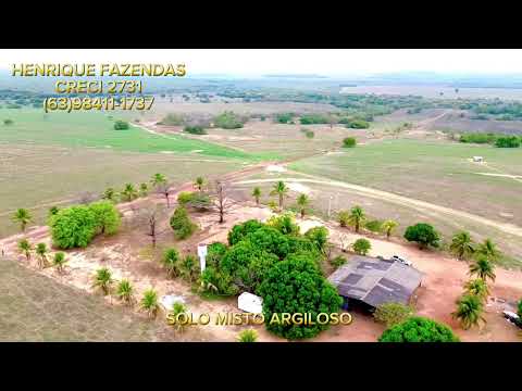 FAZENDA 302 ALQUEIRES DUPLA APTIDÃO NO TOCANTINS (63)98411-1737