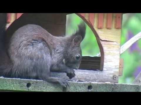 MEgional 2016 05 17 - Unsere Nachrichten für das Mittlere Erzgebirge