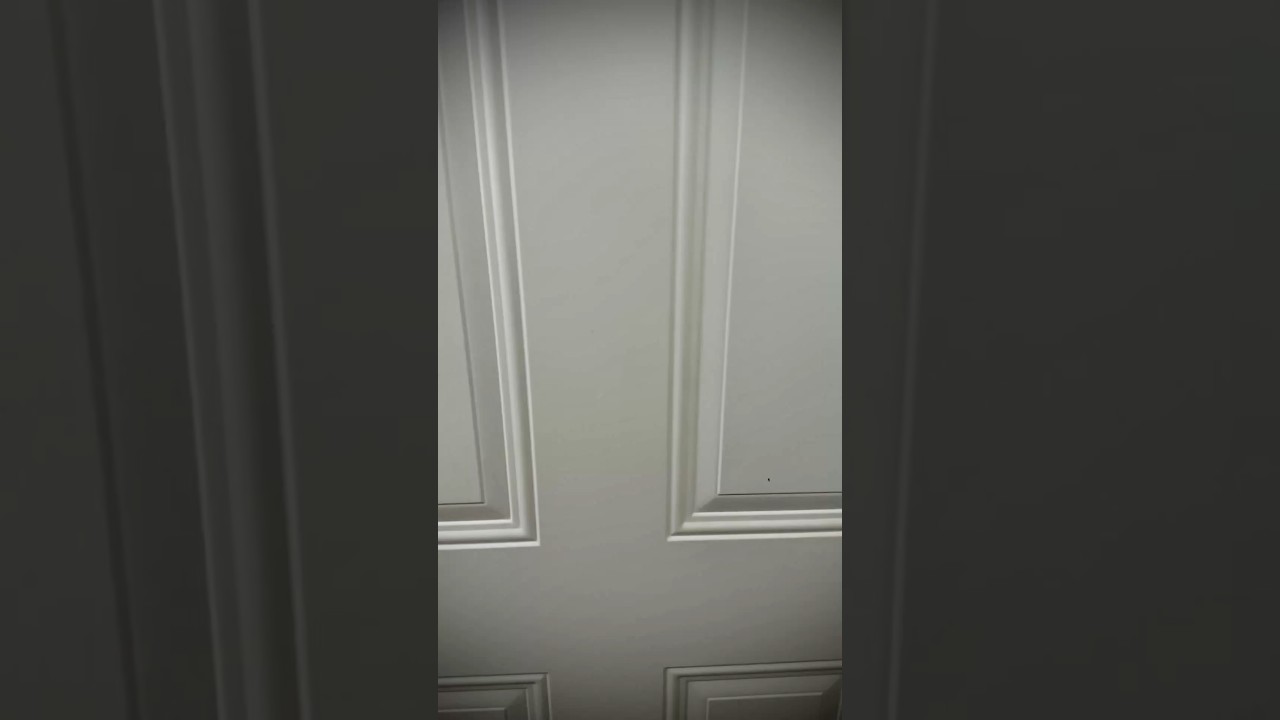 Smith & Wesson Performance Center Model 327 357 Magnum #wheelgun