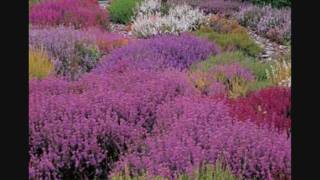 Billy Cobham - Heather