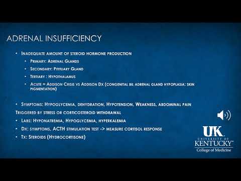 Endocrine Anesthesia Keyword Review - (Dr. Rebel)