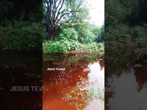 Rio de iraporanga povoado de iraquara Bahia
